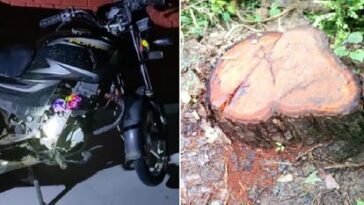 सिरमौर में खैर तस्करों पर वन विभाग की रेड, लाखों की लकड़ी और बाइक छोड़ भागे आरोपी