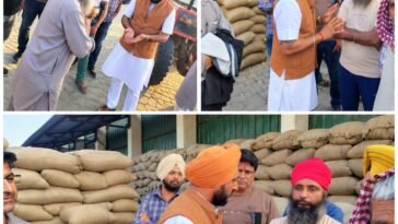 पांवटा साहिब की अनाज मंडी में किसानों की परेशानी जानने पहुंचे गुरदीप सिंह गैरी, प्रशासन के सामने उठाए मुद्दे
